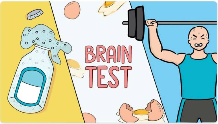 Download Brain Test 4 APK 2.737.0 for Android 
