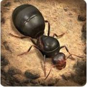 Planet Ants MOD APK V3.32.0 (Unlimited Money And Gems)