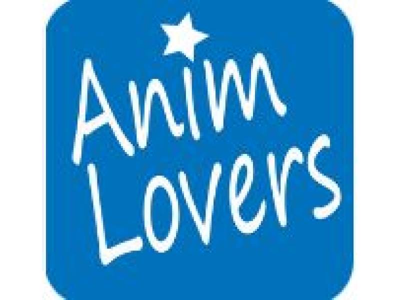 Anime Lovers Apk Download 2022 For Android Movies  Luso Gamer